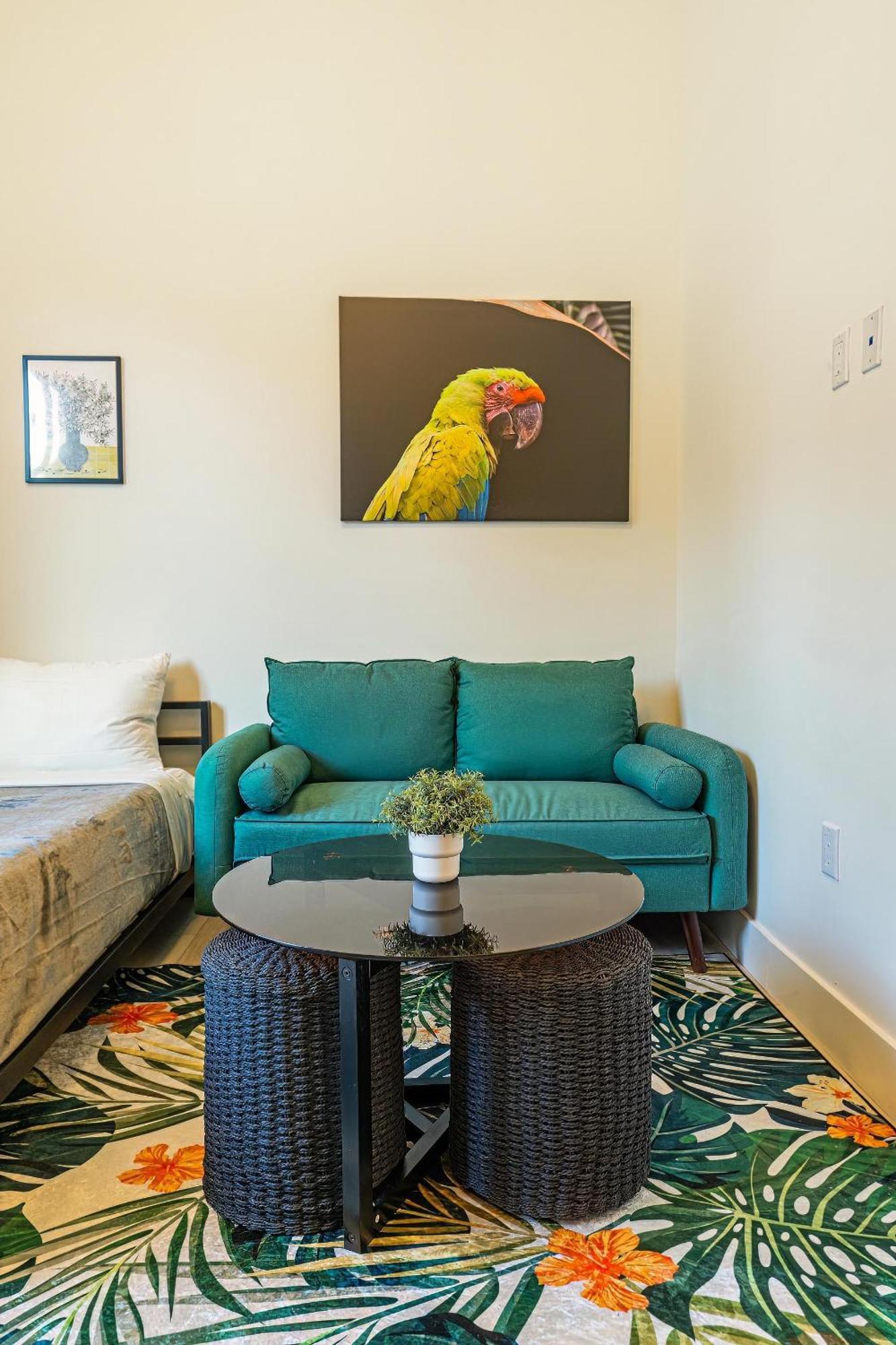 Olive Apartments Miami Rom bilde