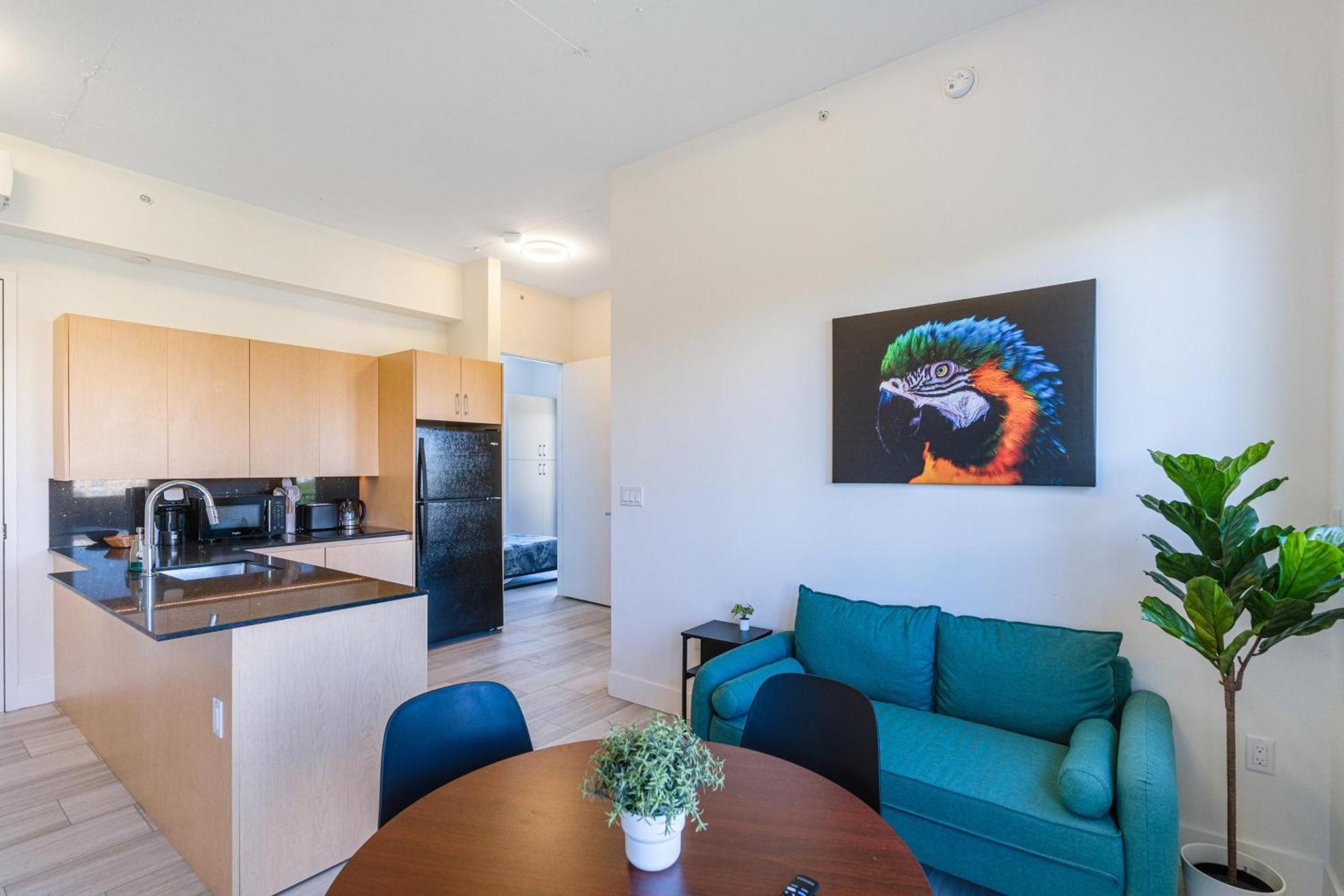 Olive Apartments Miami Rom bilde